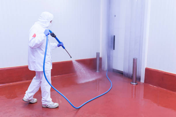 Best Playground Equipment Cleaning  in Knollwood, IL